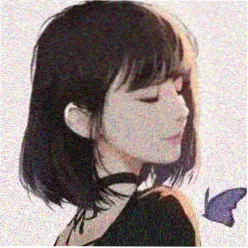 书友 纸页边缘 头像